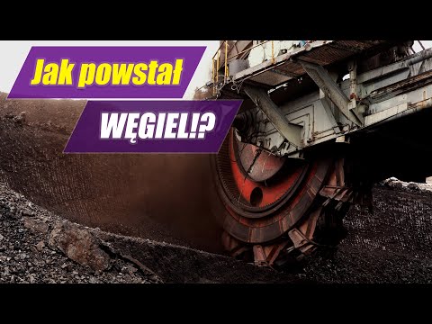 CZARNE ZŁOTO sprzed milionów lat!