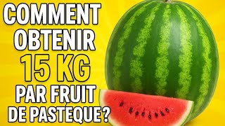 Comment obtenir 15kg par fruit de pastèque 🍉 ?