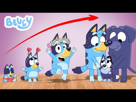 Bluey Growing Up Compilation