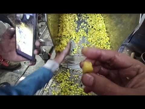 Onion slicer