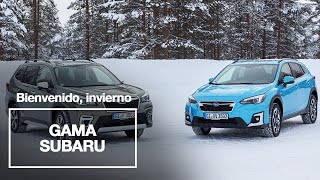 Bienvenido Invierno, disfruta de la nieve con tu Subaru Trailer