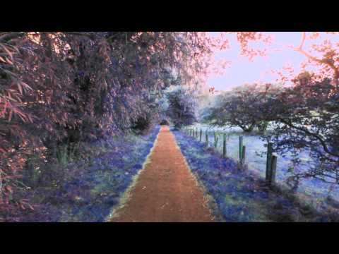 Neocrey: Eat beat | Free Chiptune Music | Royalty Free Music