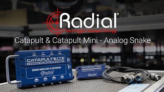 How to connect analog audio through cat 5 ethernet with the Radial Catapult