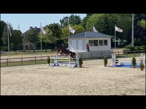 Turnierimpressionen - Caracho in Elmshorn