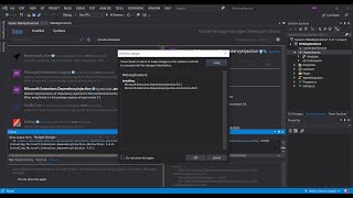 NuGet Packages in Visual Studio 2019 Getting Started