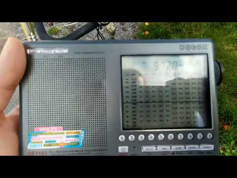 DR P3 received on 22/09/2022 on the north slope of the Desenberg near Warburg/Germany.