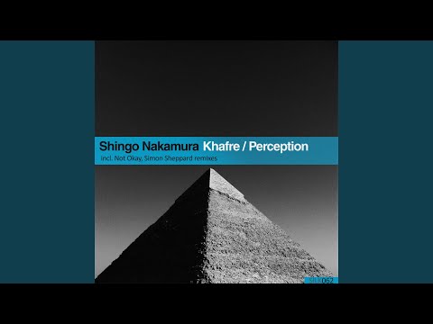 Perception (Simon Sheppard Remix)