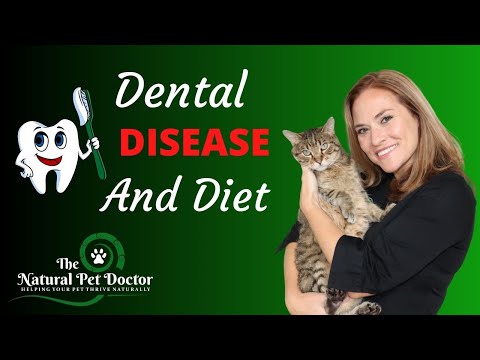 Dental Disease, Diet, and Natural Remedies in Your Dogs and Cats with Dr. Katie Woodley