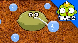 씨 이야기 (식물의 번식) | 동물과식물 | 뽀롱이의 과학호기심 | 동식물동화 | 초등과학 | 깨비키즈 KEBIKIDS