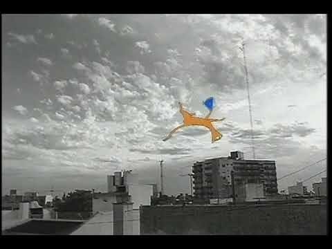 Pequeños sueños - Arbol