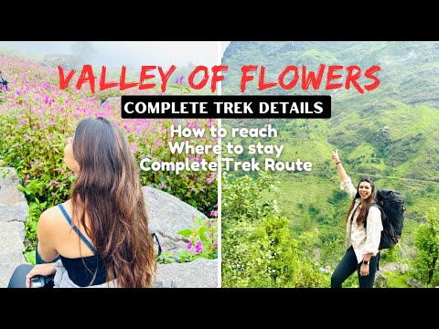 RISHIKESH TO VALLEY OF FLOWERS | VALLEY OF FLOWERS LATEST  VIDEO | VALLEY OF FLOWERS TREKKING