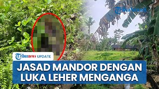 Temuan Jasad Mandor Proyek dengan Luka Parah Leher Robek di Gianyar Bali, Polisi Buru Pembunuh