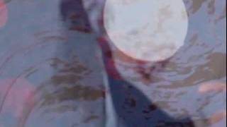 Chad Valley- Now That I&#39;m Real (video)