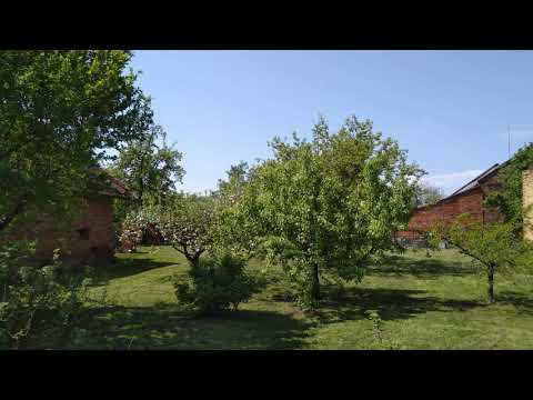 Nokia 6.1 (2018) rear camera demo 4K