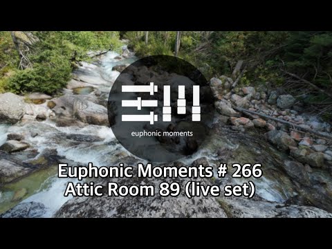 Euphonic Moments # 266 Attic Room 89 (Live set)