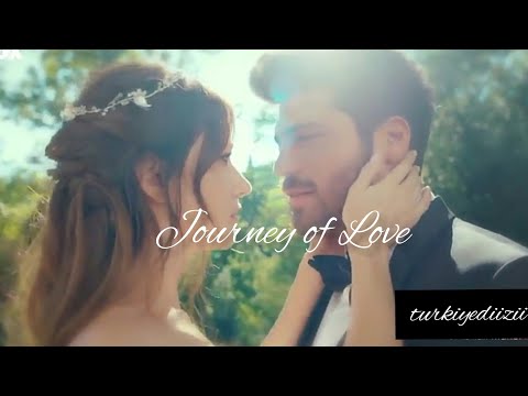 Özgür & Ezgi | Best Scenes | Bay Yanlış |