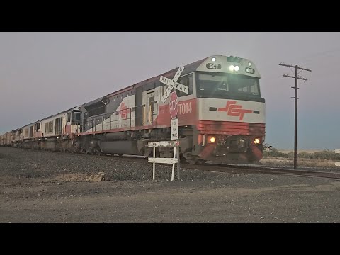 7MA9 SCT down "Dark Ghost" (SCT CSR CSR SCT), Laverton to Penfield, 1750, 10/5/25, Dooen VIC