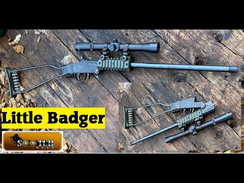 Smallest 22 LR Survival Rifle : Chiappa Little Badger