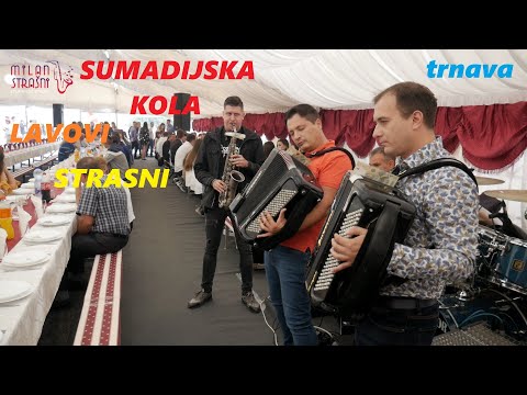 SUMADIJSKA KOLA U SRED SUMADIJE / LAVOVI / DARKO ANTIC / MILAN STRASNI