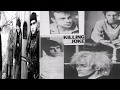 Killing Joke   Savage Freedom subtitulada