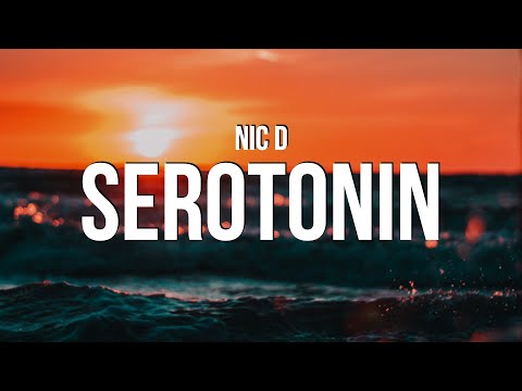 Nic D - Serotonin (Lyrics)