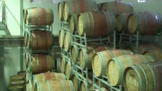 preview picture of video 'Franschhoek Wine Farms & Tasting - Cape Winelands, South Africa'