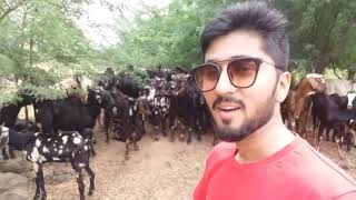 preview picture of video 'Maheshwar vlog'