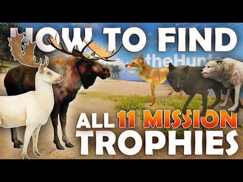 How to Find ALL 11 MISSION TROPHIES in Call of the Wild!!!