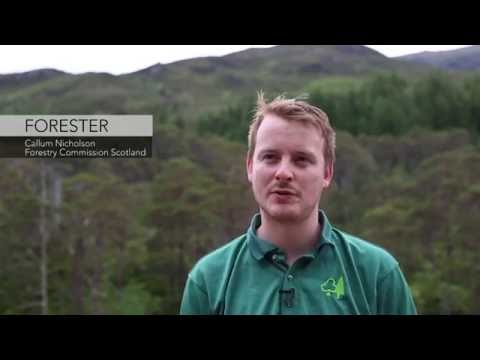 ETH ZURICH – A living Landscape  – Fast Forward Science 2016