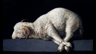 a-ha - Lamb to The Slaughter-Tradução