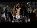 Cats Dogs 2001 Trailer VHS Capture