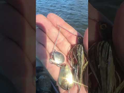 Lake Guntersville | Spring Bling