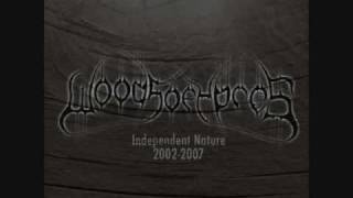 Woods of Ypres - Sea of Immeasurable Loss