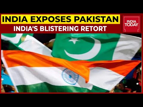 Pakistan Nurtures Terrorists, It Is An 'Arsonist' Disguised As 'Firefighter': India Slams Pak At UN