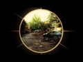 Teaser
