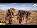 UNSEEN AFRICA: World's Most Dangerous Tribes That Still Exist Today | 4K Travel Documentary DEFAULT Thumbnail
