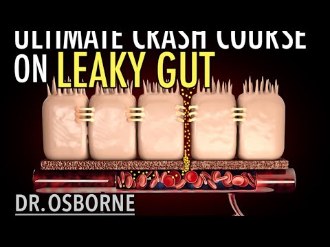 Ultimate Crash Course on Leaky Gut