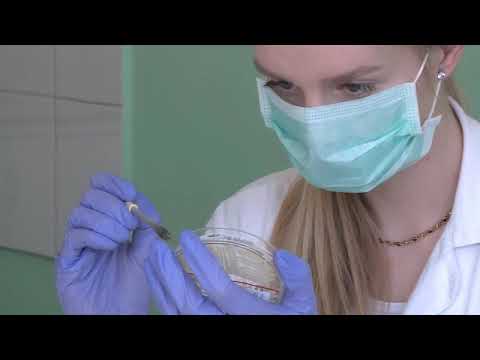 Zdravotnícky laborant