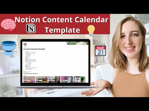 Content Calendar & Social Media | Prototion