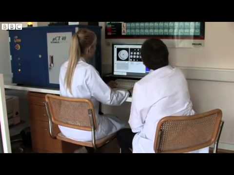 BBC News   How technology can determine the story behind your pearls