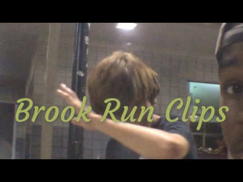 skating brook run with the fishes