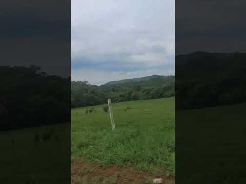 Hora de vim embora  é muito ruim  de Edealina  Goiás