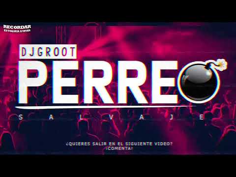 MIX REGGAETON FULL PERREO 2022 🔥 | Reggaeton Old School (LOS MEJORES CLASICOS DEL REGGAETON)