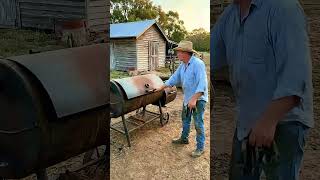 🧸 Lindo Cacto Dançante de Pelúcia Mexicana   Brinquedo de Pelúcia Elétrico