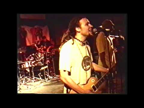 FRESHFABRIK- PUBLO HUNNY