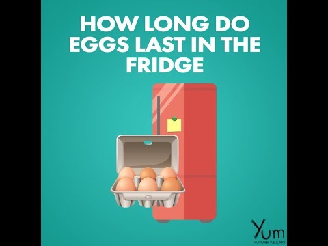 download lagu mp3 mp4 Do Eggs Expire In The Fridge, download lagu Do Eggs Expire In The Fridge gratis, unduh video klip Do Eggs Expire In The Fridge