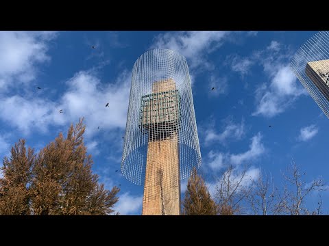 Starling proof suet feeder - only for the woodpeckers!