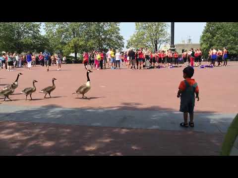 Sahan feeling excited#with playing ducks#at newyork #statue of Liberty place#