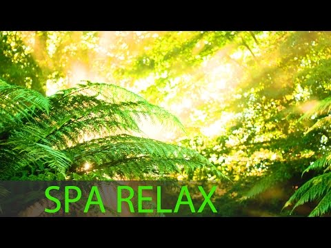 Meditation Music Relax Mind Body, Relaxation Music, Sleep Music, Yoga Music, Spa Music, Relax, ☯218