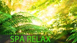 Meditation Music Relax Mind Body, Relaxation Music, Sleep Music, Yoga Music, Spa Music, Relax, ☯218